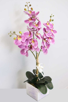 Mermer Görünümlü Beton Saksıda 3lü Yapay Orkide Tanzim Mor Benekli 80cm - Thumbnail