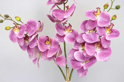 Mermer Görünümlü Beton Saksıda 3lü Yapay Orkide Tanzim Mor Benekli 80cm - Thumbnail