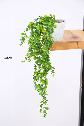 Yapay Çiçek Yoğun Yapraklı Yeşil Okaliptus Sarkıt (Beyaz Mika Saksılı) 60 cm - 2