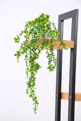 Yapay Çiçek Yoğun Yapraklı Yeşil Okaliptus Sarkıt (Beyaz Mika Saksılı) 60 cm - 3
