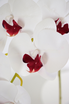 Yapay Dal Baskılı Orkide Çiçeği 88 cm Beyaz Bordo - Thumbnail