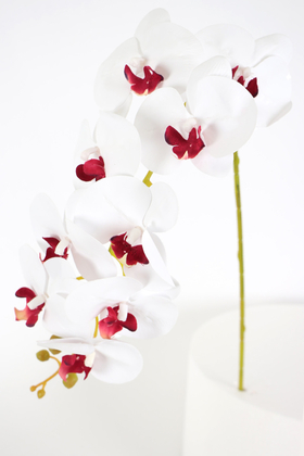 Yapay Çiçek Deposu - Yapay Dal Baskılı Orkide Çiçeği 88 cm Beyaz Bordo