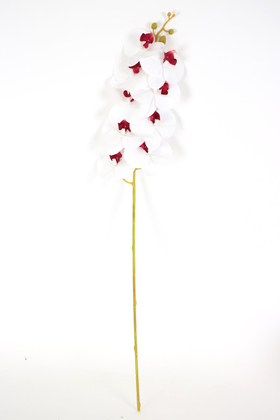 Yapay Dal Baskılı Orkide Çiçeği 88 cm Beyaz Bordo - Thumbnail