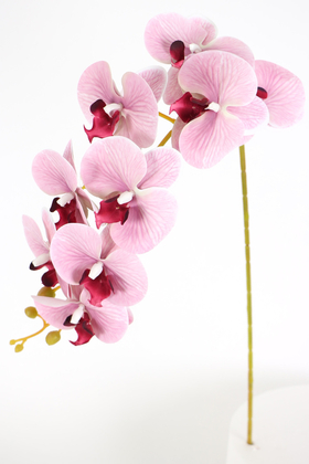Yapay Çiçek Deposu - Yapay Dal Baskılı Orkide Çiçeği 88 cm Pembe Çizgili