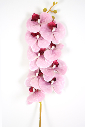 Yapay Dal Baskılı Orkide Çiçeği 88 cm Pembe Çizgili - Thumbnail
