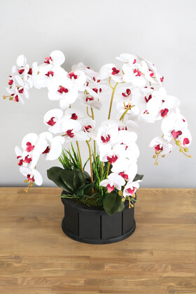 Dekoratif Ahşap Saksıda 7 Dal Orkide Tanzimi Beyaz Bordo - Thumbnail