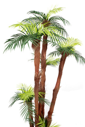 Yapay Palmiye Ağacı 6 Gövdeli 54 Yaprak 200 cm - 4