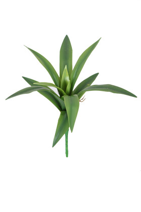Gerçek Dokulu Dev Succulent Kaktüs - 1