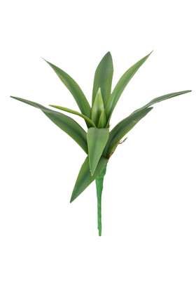Gerçek Dokulu Dev Succulent Kaktüs - 2