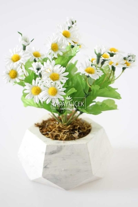 Yapay Çiçek Deposu - Dekoratif Beton Saksıda Papatya Tanzimi 20 cm