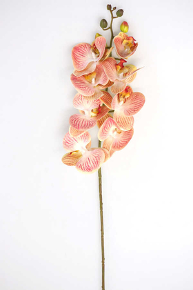 Yapay Çiçek Deposu - Yapay Pastel Islak Orkide Çiçeği 75 cm Açık Kırmızı