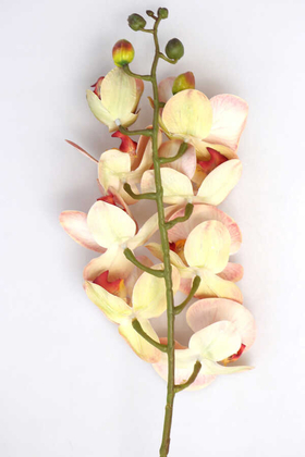 Yapay Pastel Islak Orkide Çiçeği 75 cm Açık Kırmızı - Thumbnail