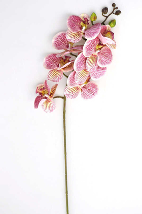 Yapay Çiçek Deposu - Yapay Pastel Islak Orkide Çiçeği 75 cm Fuşya Benekli