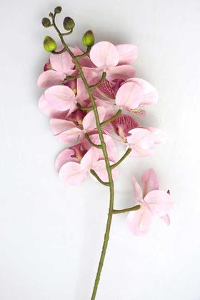 Yapay Pastel Islak Orkide Çiçeği 75 cm Fuşya Benekli - Thumbnail
