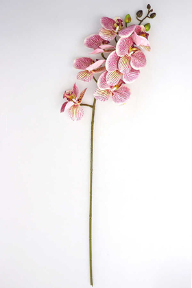 Yapay Pastel Islak Orkide Çiçeği 75 cm Fuşya Benekli - Thumbnail
