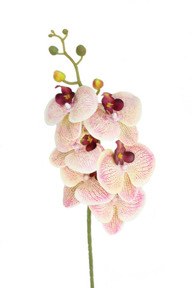 Yapay Çiçek Deposu - Yapay Pastel Islak Orkide Çiçeği 95 cm Somon