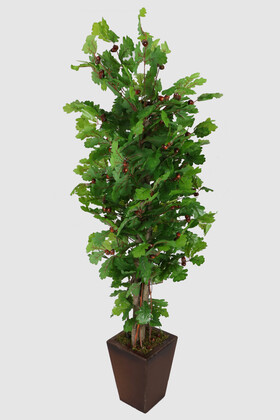 Ahşap Saksıda Yapay Pelit Ağacı Meşe Palamudu 190 cm - 6