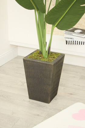 Yapay Premium Starliçe Ağacı 210 cm Siyah-Gold Saksı - 3
