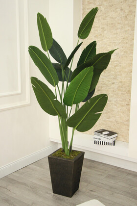 Yapay Çiçek Deposu - Yapay Premium Starliçe Ağacı 210 cm Siyah-Gold Saksı