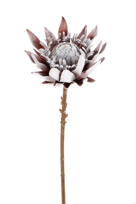 Yapay Çiçek Deposu - Yapay Protea Bitkisi 52 cm Gri-Kızıl