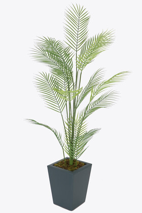 15 Yapraklı Yapay Areka Palmiyesi Ağacı 150 cm Feniks - Thumbnail