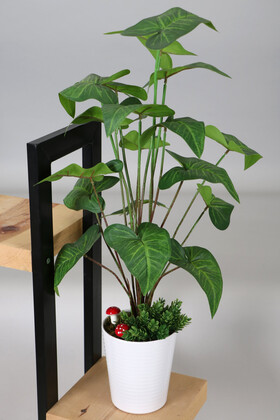 Yapay Çiçek Deposu - Dekoratif Beyaz Mika Saksıda Kaladyum (Caladium) Bitki Tanzimi 70 cm Koyu Yeşil