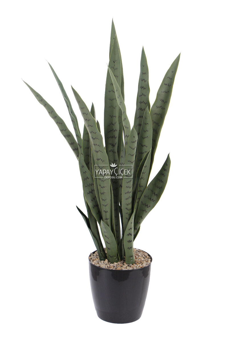 Yapay Paşa Kılıcı Sansevieria Bitkisi 35 Yapraklı 80 Cm
