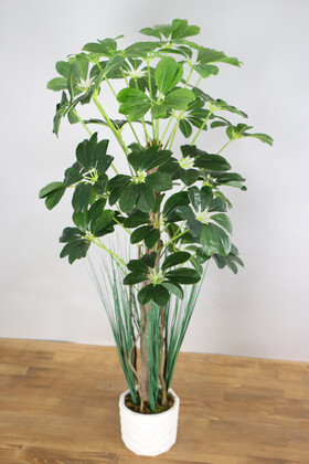 Yapay Çiçek Deposu - Yapay Şeflera Ağacı 105 cm Beton Saksılı Koyu Yeşil