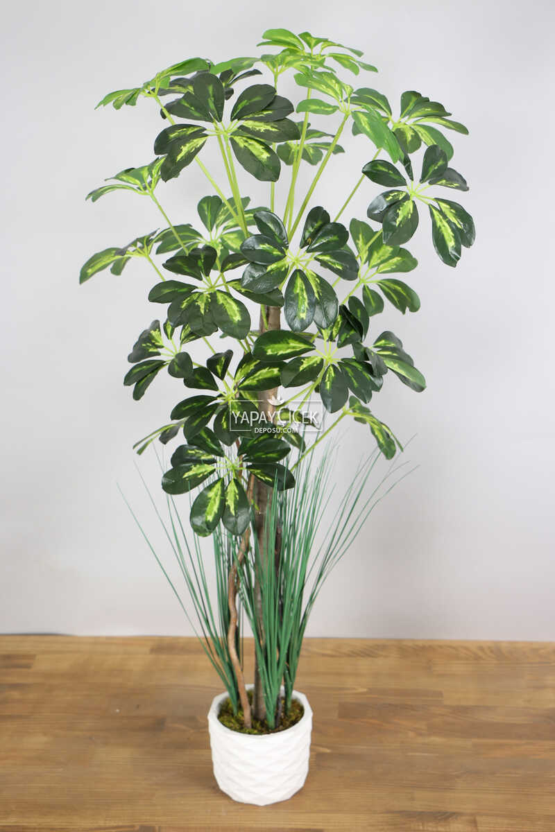 Yapay Şeflera Ağacı 105 Cm Yeşil-sarı