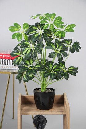 Yapay Şeflera Ağacı(schefflera bitkisi) 18 Yapraklı Siyah Saksıda 65 cm Yeşil-Sarı - 2