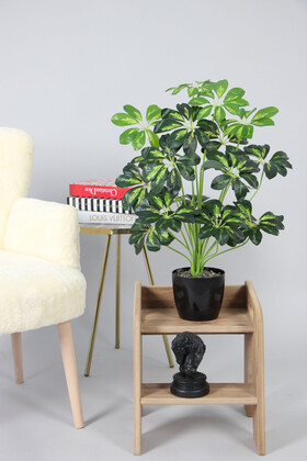 Yapay Şeflera Ağacı(schefflera bitkisi) 18 Yapraklı Siyah Saksıda 65 cm Yeşil-Sarı - 3