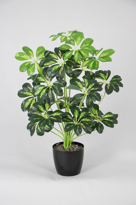 Yapay Şeflera Ağacı(schefflera bitkisi) 18 Yapraklı Siyah Saksıda 65 cm Yeşil-Sarı - Yapay Çiçek Deposu