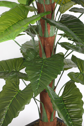 36 Yapraklı Yapay Giganteum Sekoya Ağacı 190 cm Yeşil (Ahşap Siyah Gold-Saksıda) - Thumbnail
