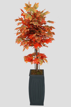 Yapay Ağaç Sonbahar Kızıl Çınar Ağacı 180 cm - Thumbnail