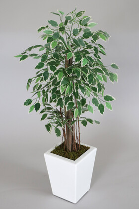 Yapay Çiçek Deposu - Ahşap Saksıda Yapay Starlight Benjamin Ağacı Yeşil-Beyaz 115 cm