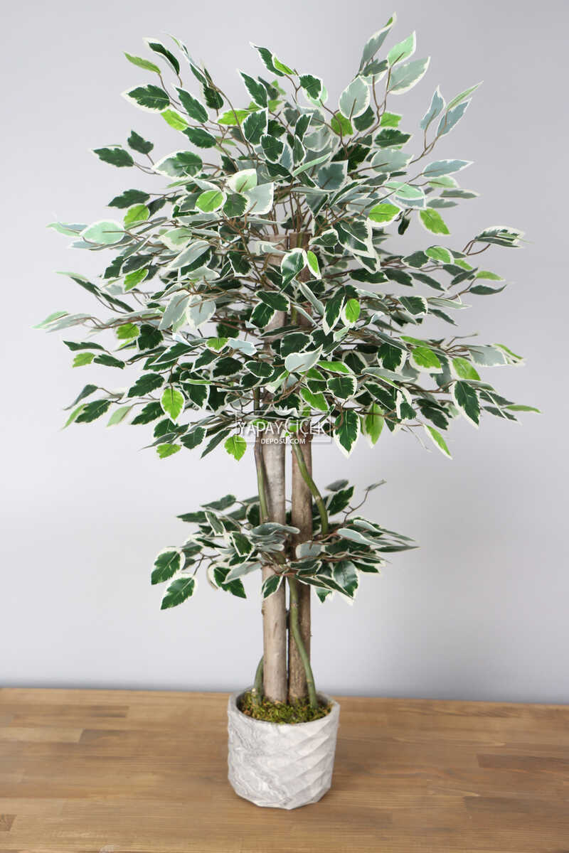 Yapay Starlight Benjamin Ağacı 105 cm Beton Saksılı Yeşil-Beyaz