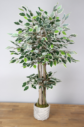 Yapay Çiçek Deposu - Yapay Starlight Benjamin Ağacı 105 cm Beton Saksılı Yeşil-Beyaz