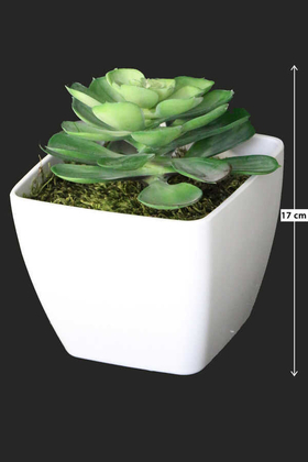 Melamin Saksıda Yapay Succulent Sukulent Echeveria 17cm - Thumbnail