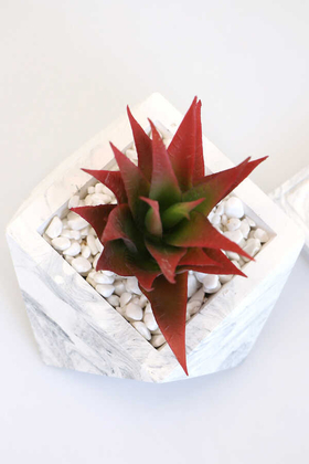 Altlıklı Beton Saksıda Kaliteli Yapay Succulent Kaktüs Set Kızıl - Thumbnail