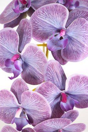 Yapay Dal Baskılı Orkide Çiçeği 88 cm Mor - Thumbnail