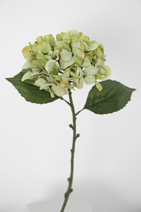 Yapay Çiçek Deposu - Yapay Tek Dal Pastel Ortanca Dalı 58 cm Yeşil