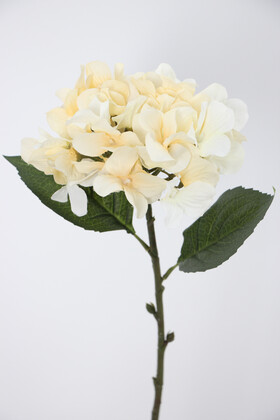 Yapay Çiçek Deposu - Yapay Tek Dal Pastel Ortanca Dalı 58 cm Krem