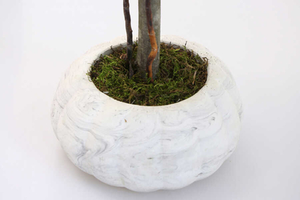 Dekoratif Lüx Top Ağaç Çam Model 35x60 cm Koyu Yeşil - Thumbnail