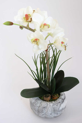 Yapay Çiçek Deposu - Yapay Tropikal Orkide Tanzimi Islak Dokuda Beton Saksılı Beyaz