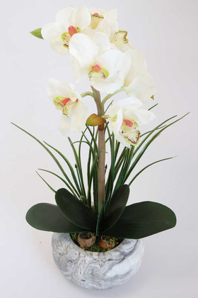 Yapay Tropikal Orkide Tanzimi Islak Dokuda Beton Saksılı Beyaz - Thumbnail