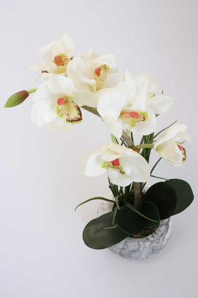 Yapay Tropikal Orkide Tanzimi Islak Dokuda Beton Saksılı Beyaz - Thumbnail