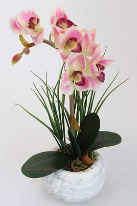 Yapay Çiçek Deposu - Yapay Tropikal Orkide Tanzimi Islak Dokuda Beton Saksılı Pembe