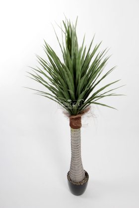 Yapay Tropikal Yucca Ağacı 150 cm - 
