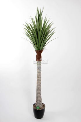 Yapay Tropikal Yucca Ağacı 200 cm - 