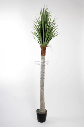 Yapay Tropikal Yucca Ağacı 240 cm - Yapay Çiçek Deposu